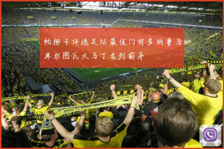 帕柳卡评选足坛最佳门将多纳鲁马库尔图瓦大马丁名列前茅