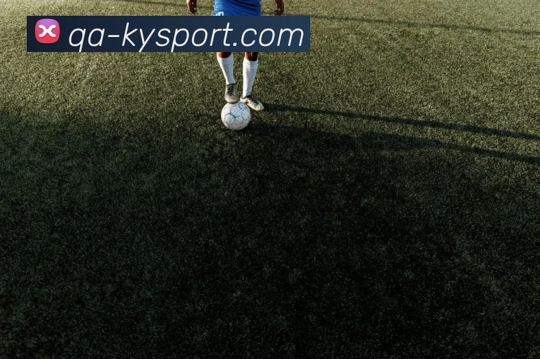 开云足球APP 封面图